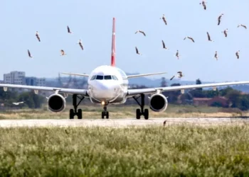 CAAC enhances aviation safety measures following incidents