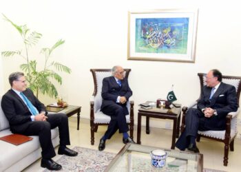 Aurangzeb and Ambassador discuss Pak-China economic ties