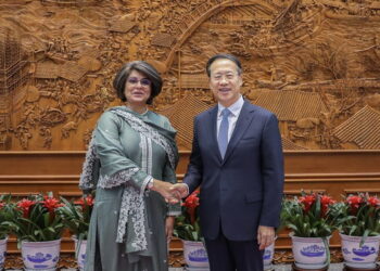Vice Foreign Minister Ma Zhaoxu Meets with Pakistani Foreign Secretary Amna Baloch