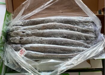 Pakistan’s seafood gain popularity in China
