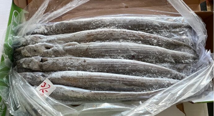 Pakistan’s seafood gain popularity in China