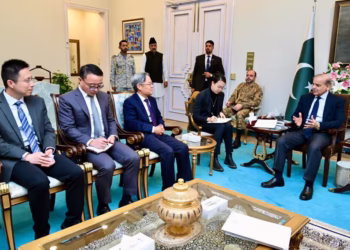 Ambassador Zaidong calls on PM Shehbaz amid Chinese New Year celebrations