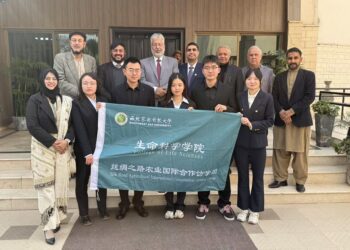 China, Pakistan academic exchange boost Belt and Road ties