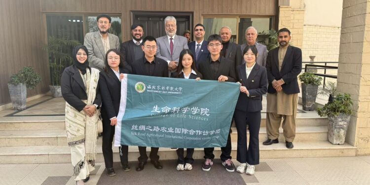 China, Pakistan academic exchange boost Belt and Road ties