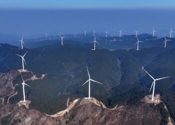 China's inaugural energy law drives green transition