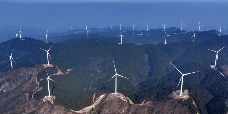 China's inaugural energy law drives green transition