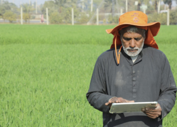 China, Pakistan AI project revolutionizes farming in Punjab