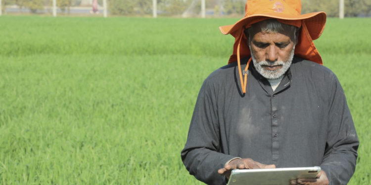 China, Pakistan AI project revolutionizes farming in Punjab
