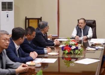 Sindh Minister invites Chinese investors to establish EV plant