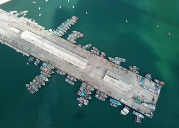 CPEC lays solid foundation for Pakistan's economic growth, say experts