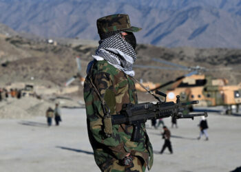 Kabul continues to support TTP, UN Report