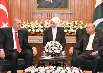Zardari, Erdogan discuss cooperation across sectors