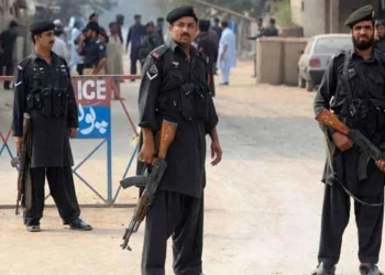 Levies official martyred in Kalat check-post attack