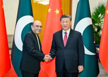 President Xi hold talks with President Zardari