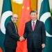 President Xi hold talks with President Zardari