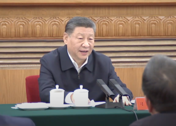 Xi urges healthy, high-quality development of private sector
