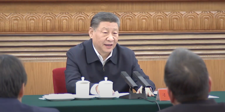 Xi urges healthy, high-quality development of private sector