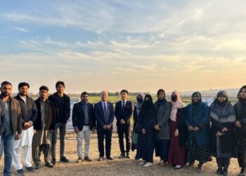 China, Pakistan joint lab to boost wheat innovation