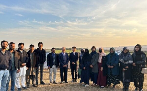 China, Pakistan joint lab to boost wheat innovation