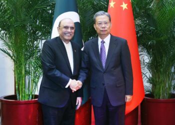 China's top legislator meets President Zardari