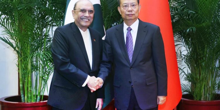 China's top legislator meets President Zardari