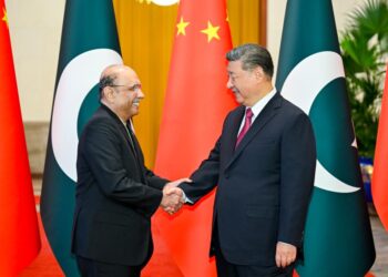 Xi holds talks with Pakistani president in Beijing