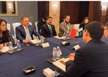 Minister Sharjeel invites Chinese EV bus maker to invest in Karachi