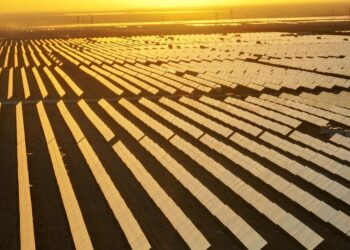 Xinjiang’s green power trading surges amid low carbon goals