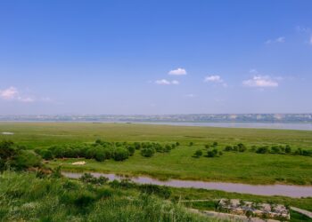 China pushes key ecological initiatives at Two Sessions