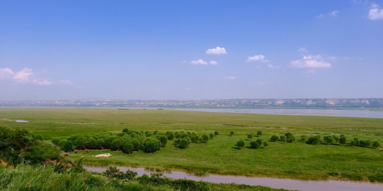 China pushes key ecological initiatives at Two Sessions