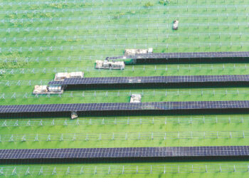China to tackle green trade barriers