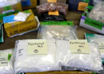 Tariffs are not the cure for the U.S. Fentanyl crisis