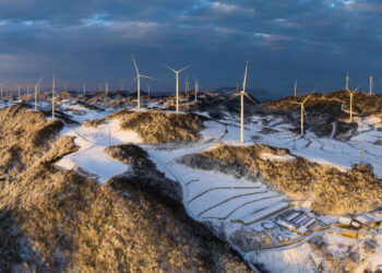 China strengthens green policies for carbon neutrality