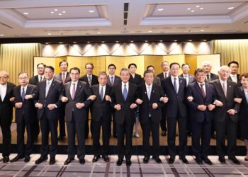 Wang Yi meets Japan-China friendship groups