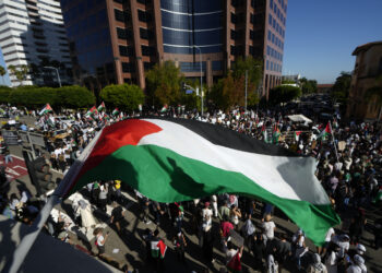 Chinese FM reiterates Gaza being Palestinian territory