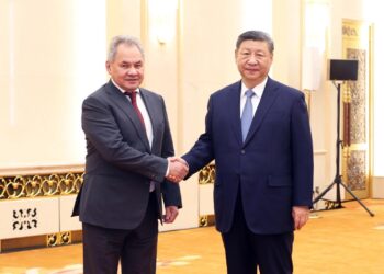 Xi meets Russian Federation Security Council secretary
