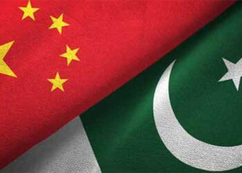 Pakistan, China advance partnership for castor industry