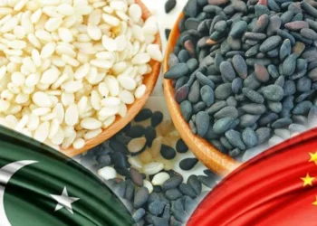 Pakistan’s sesame exports to China surge by 180%