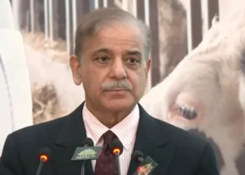 PM Shehbaz lauds China’s role in IMF deal