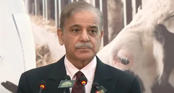 PM Shehbaz lauds China’s role in IMF deal