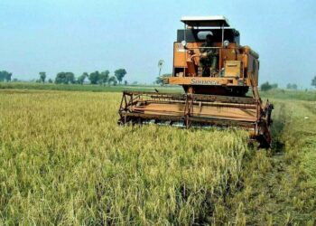 First batch of 300 agri graduates to China to leave on April 16