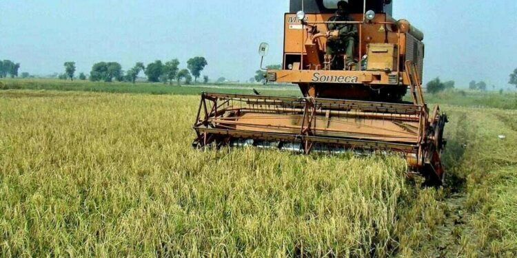 First batch of 300 agri graduates to China to leave on April 16