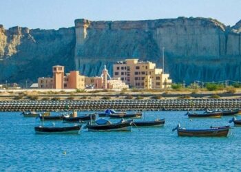 Pakistan, China to develop high tech aquaculture industry in Gwadar