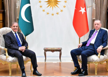 PM Shehbaz, Erdogan discuss strong brotherly ties