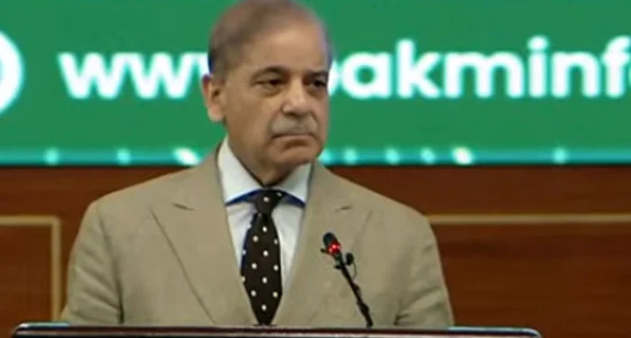 PM Sharif calls for investment in trillion dollar Mineral resources