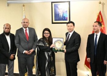 Pakistan, China to expand digital cooperation under CPEC