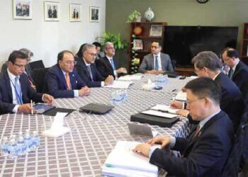 Aurangzeb briefs Chinese, Saudi, UAE counterparts on economic developments
