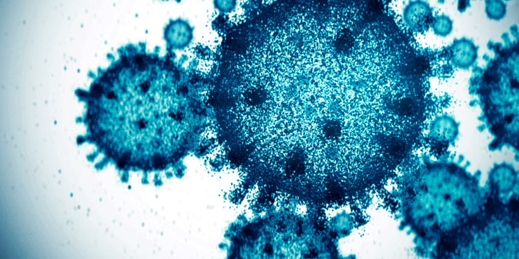 China releases white paper on Covid-19 origins, control and prevention