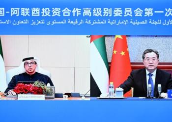 China, UAE Launch High Level Investment Committee