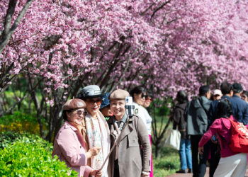 China sees travel surge during Qingming Festival